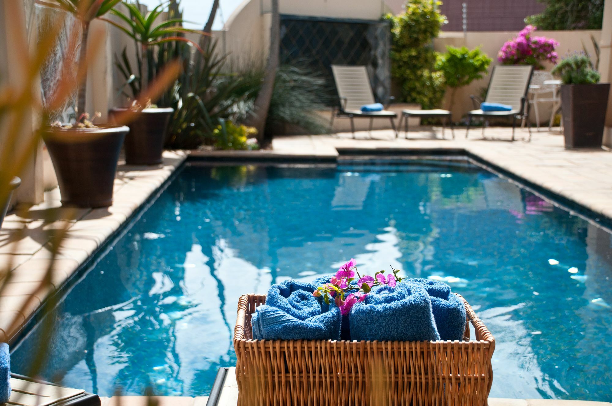 Cape Flame Guest House Port Elizabeth Extérieur photo